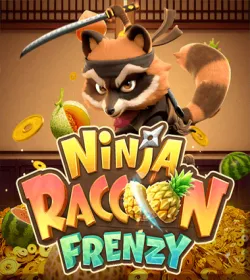 Ninja Raccoon Frenzy