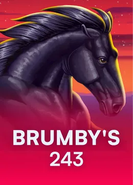 Brumby's 243